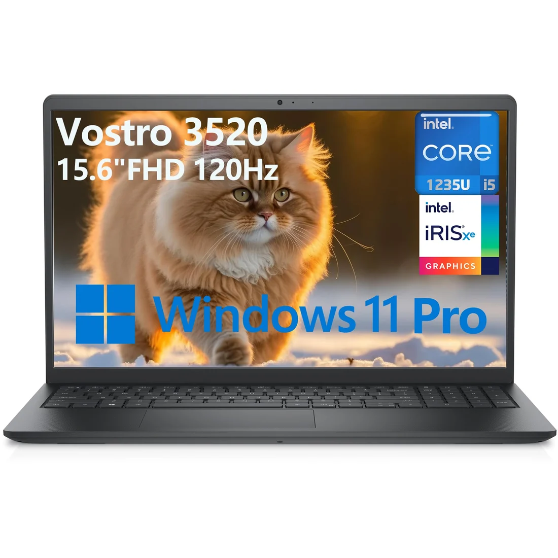 Dell Vostro 3520 i5-1235U 16GB 1TB — used Dell laptop, price in Pakistan at NN Laptops Hafeez Center Lahore